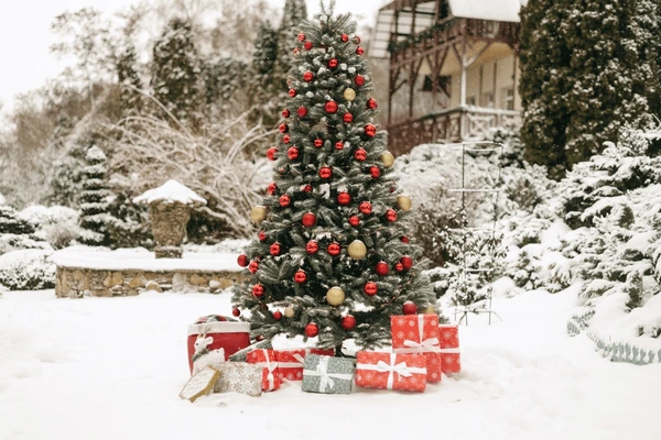 Join Us for Our Annual Christmas Tree Lighting